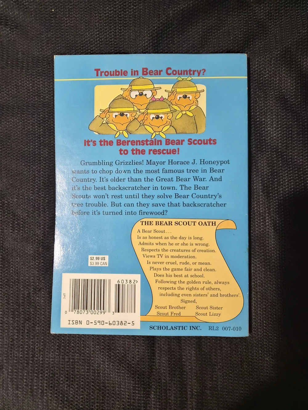 The Berenstain Bear Books